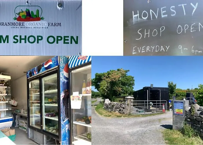 The Cosy By The Shore Apartment Galway